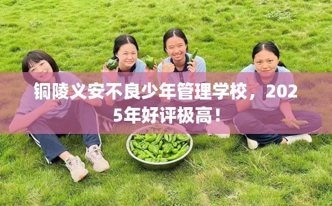铜陵义安不良少年管理学校，2025年好评极高！