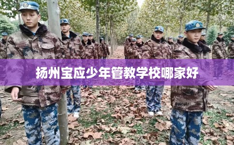扬州宝应少年管教学校哪家好