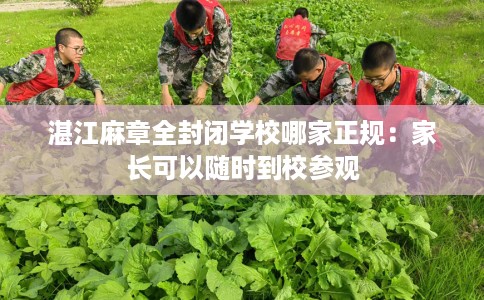 湛江麻章全封闭学校哪家正规：家长可以随时到校参观