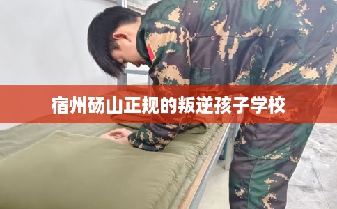 宿州砀山正规的叛逆孩子学校