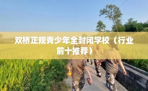 双桥正规青少年全封闭学校（行业前十推荐）