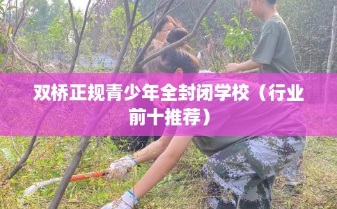 双桥正规青少年全封闭学校（行业前十推荐）