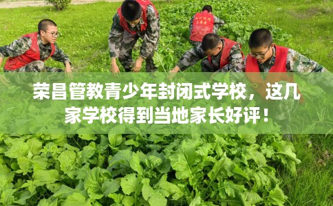 荣昌管教青少年封闭式学校，这几家学校得到当地家长好评！