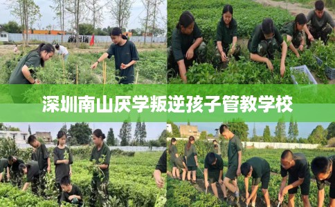 深圳南山厌学叛逆孩子管教学校