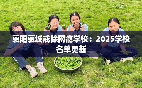 襄阳襄城戒除网瘾学校：2025学校名单更新