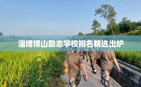 淄博博山励志学校排名精选出炉