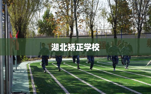 湖北矫正学校