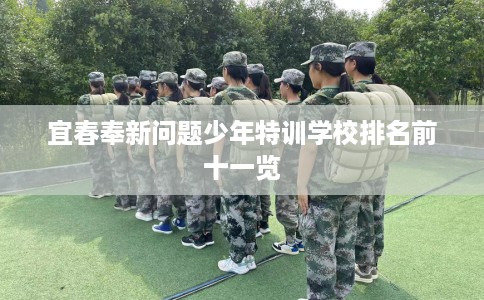 宜春奉新问题少年特训学校排名前十一览