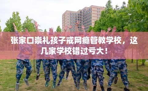张家口崇礼孩子戒网瘾管教学校，这几家学校错过亏大！