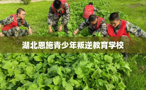 湖北恩施青少年叛逆教育学校