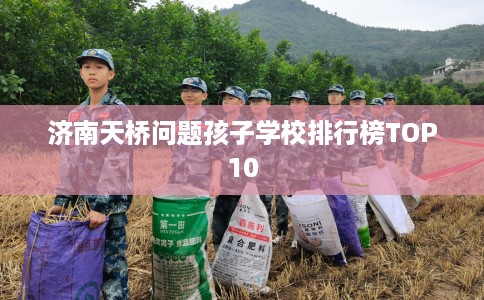 济南天桥问题孩子学校排行榜TOP10