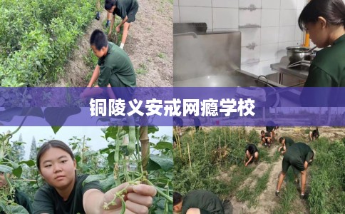 铜陵义安戒网瘾学校