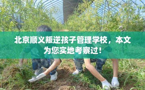 北京顺义叛逆孩子管理学校，本文为您实地考察过！
