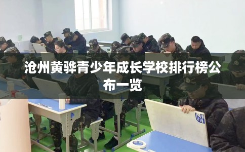 沧州黄骅青少年成长学校排行榜公布一览