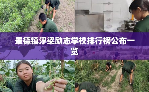 景德镇浮梁励志学校排行榜公布一览