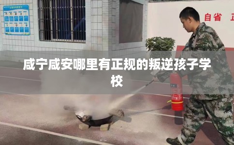 咸宁咸安哪里有正规的叛逆孩子学校