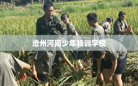 沧州河间少年特训学校