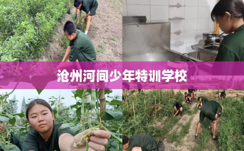 沧州河间少年特训学校