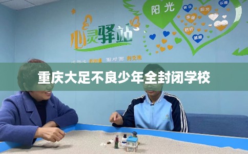 重庆大足不良少年全封闭学校