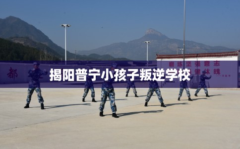 揭阳普宁小孩子叛逆学校