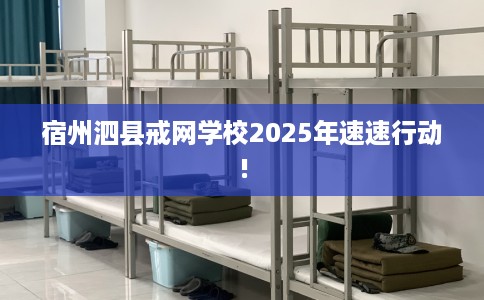 宿州泗县戒网学校2025年速速行动!