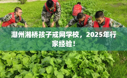 潮州湘桥孩子戒网学校，2025年行家经验！