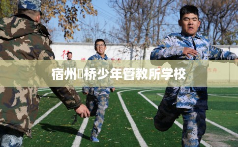 宿州埇桥少年管教所学校