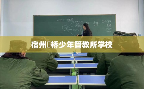 宿州埇桥少年管教所学校