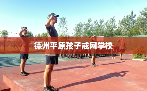 德州平原孩子戒网学校