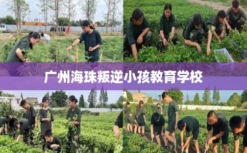 广州海珠叛逆小孩教育学校