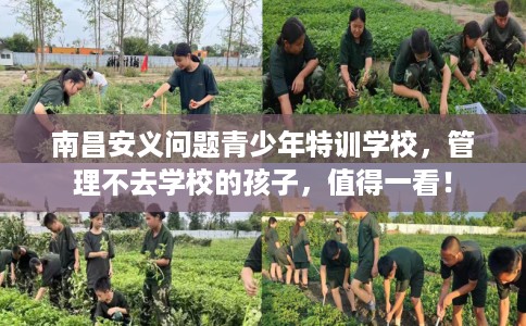 南昌安义问题青少年特训学校,管理不去学校的孩子,值得一看! 南昌安义问题青少年特训学校,管理不去学校的孩子,值得一看!