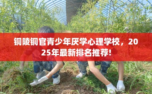 铜陵铜官青少年厌学心理学校，2025年最新排名推荐!