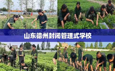 山东德州封闭管理式学校