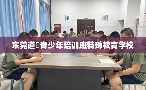 东莞道滘青少年培训班特殊教育学校