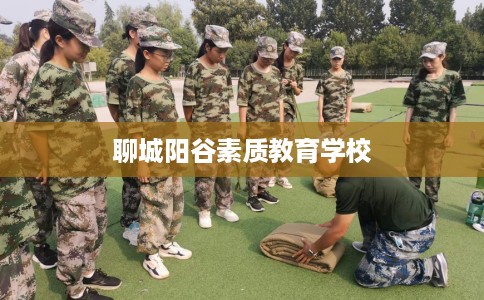 聊城阳谷素质教育学校