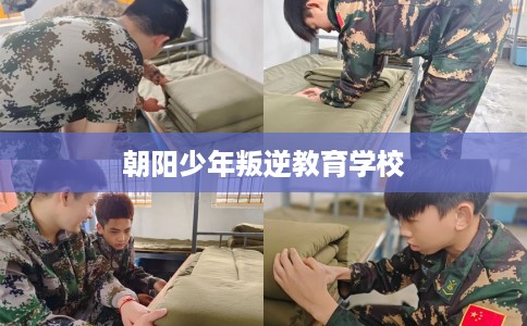 朝阳少年叛逆教育学校