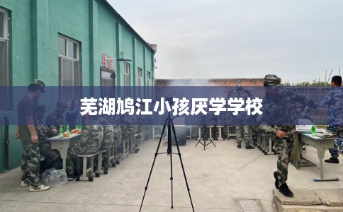 芜湖鸠江小孩厌学学校