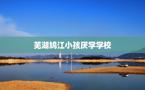 芜湖鸠江小孩厌学学校