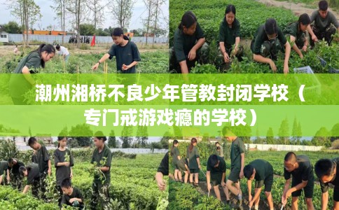 潮州湘桥不良少年管教封闭学校（专门戒游戏瘾的学校）