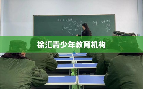 徐汇青少年教育机构