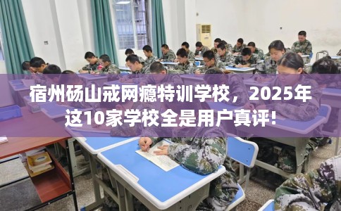 宿州砀山戒网瘾特训学校，2025年这10家学校全是用户真评!