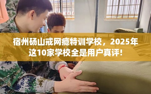 宿州砀山戒网瘾特训学校，2025年这10家学校全是用户真评!