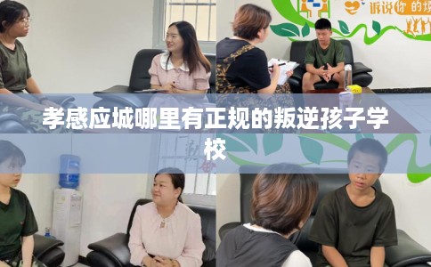 孝感应城哪里有正规的叛逆孩子学校