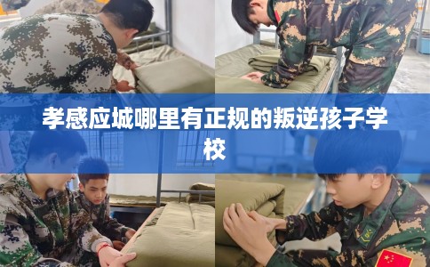 孝感应城哪里有正规的叛逆孩子学校