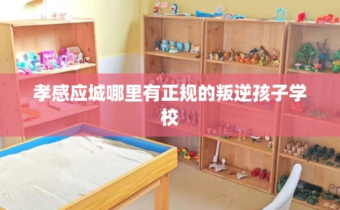 孝感应城哪里有正规的叛逆孩子学校