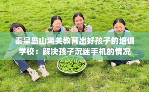 秦皇岛山海关教育出好孩子的培训学校：解决孩子沉迷手机的情况