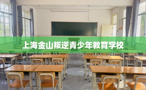 上海金山叛逆青少年教育学校