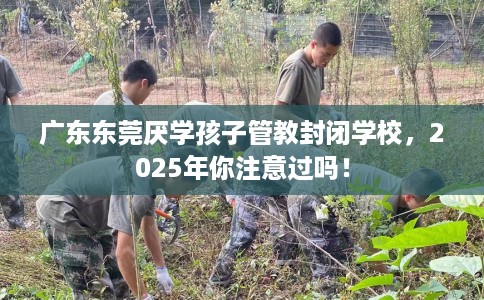 广东东莞厌学孩子管教封闭学校，2025年你注意过吗！