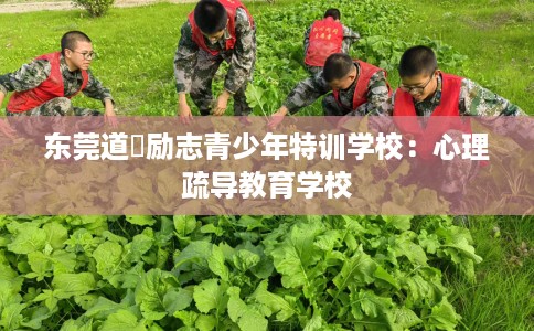 东莞道滘励志青少年特训学校：心理疏导教育学校