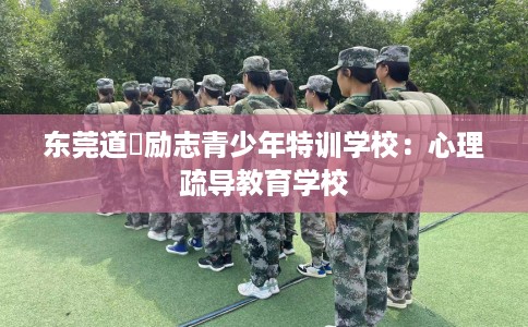 东莞道滘励志青少年特训学校：心理疏导教育学校